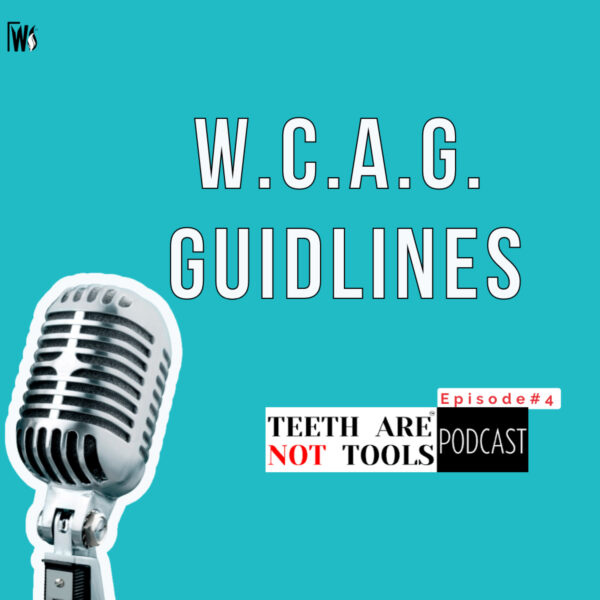 What are WCAG guidlines and why are they important to my dentist website? Part-4 :Podcast #4