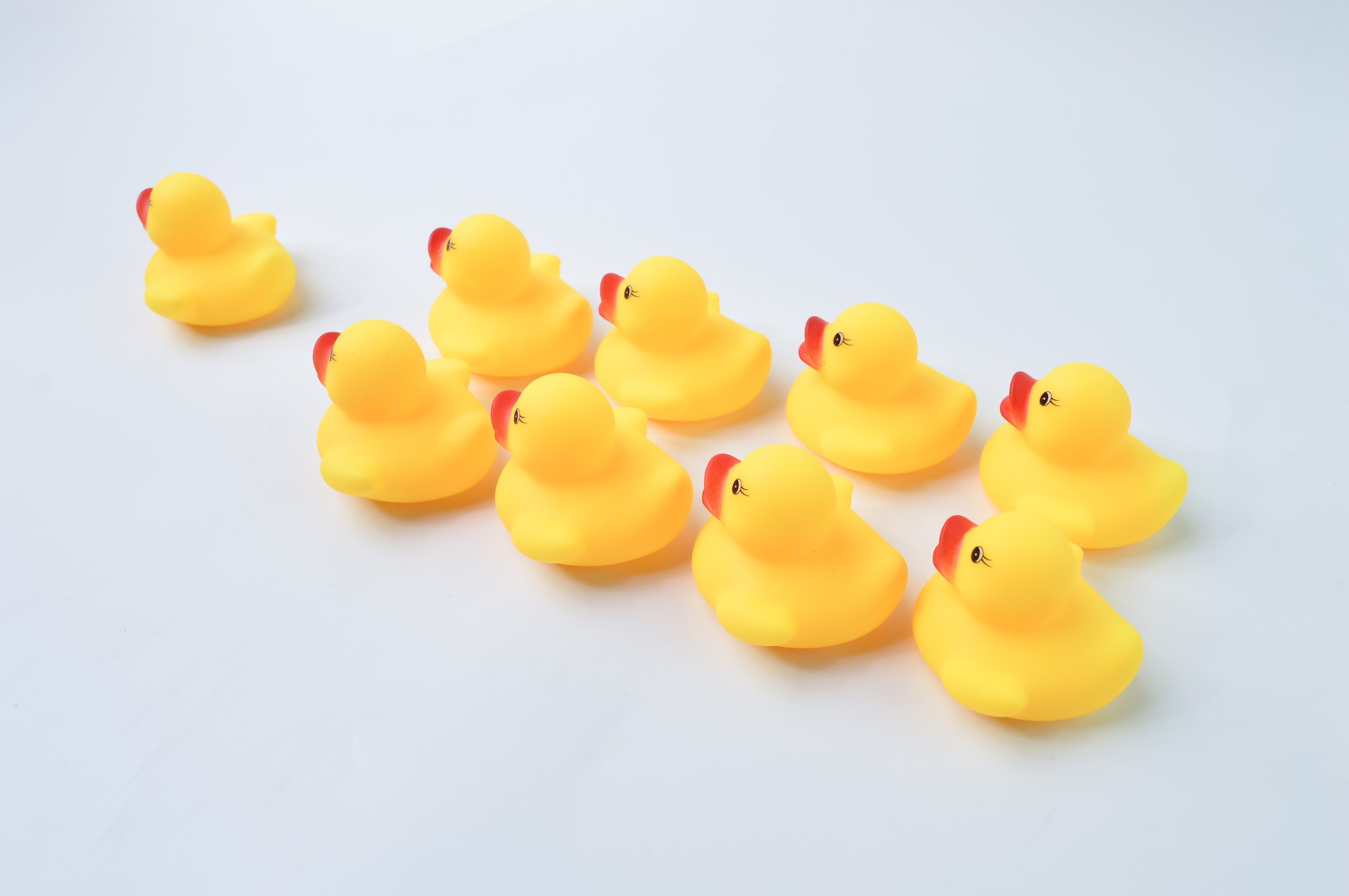 Group of toy ducks follow the leader. Teamwork and cooperation concept